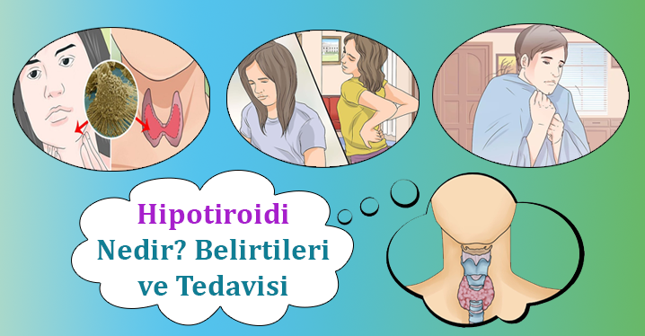 Tiroid Hastalıkları ve Hipertansiyon | Article | Türkiye Klinikleri