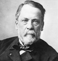 Louis Pasteur Kimdir?