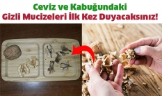 Ceviz ve Kabuğundaki Gizli Mucizeleri İlk Kez Duyacaksınız!