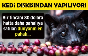 Kedi dışkısından yapılıyor! Fincanı 80 dolar...