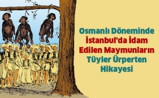 İstanbul’da İdam Edilen Maymunların Hikayesi