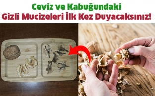Ceviz ve Kabuğundaki Gizli Mucizeleri İlk Kez Duyacaksınız!