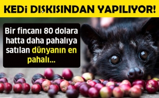 Kedi dışkısından yapılıyor! Fincanı 80 dolar...