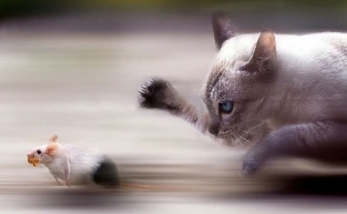 Karakter önemlidir sultanım!