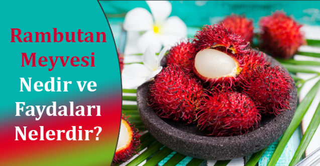 Rambutan Meyvesi Nedir ve Faydaları Nelerdir?